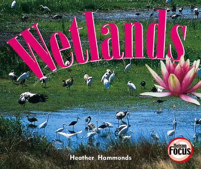 Book cover for Wetlands