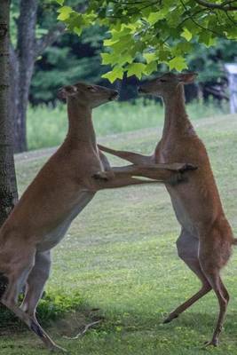 Book cover for Dancing Deer in the Park