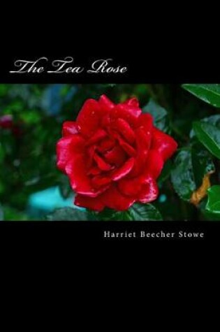 Cover of The Tea Rose