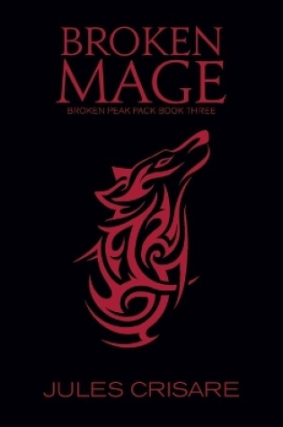 Cover of Broken Mage