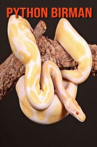 Cover of Python Birman