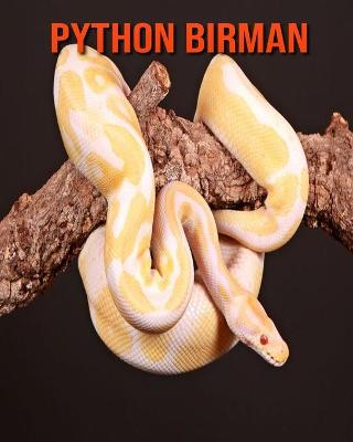 Book cover for Python Birman