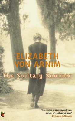 Book cover for The Solitary Summer