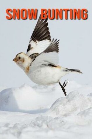 Cover of Snow Bunting