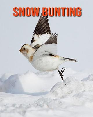 Book cover for Snow Bunting