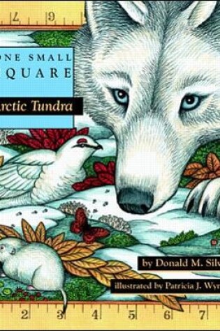 Cover of Arctic Tundra