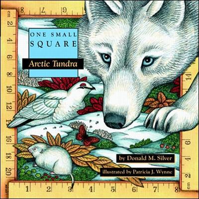 Book cover for Arctic Tundra