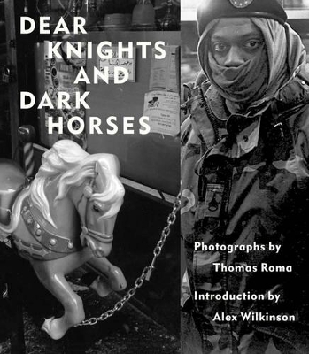 Book cover for Dear Knights And Dark Horses