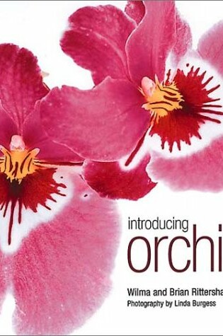 Cover of Introducing Orchids