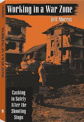 Book cover for Working in a War Zone