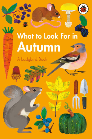 Book cover for What to Look For in Autumn