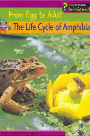 Cover of From Egg to Adult: The Life Cycle of Amphibians