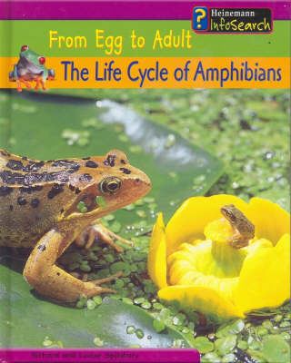 Cover of From Egg to Adult: The Life Cycle of Amphibians