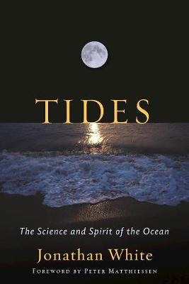 Book cover for Tides