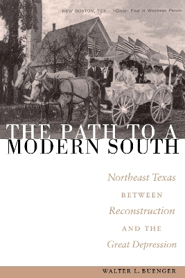 Book cover for The Path to a Modern South