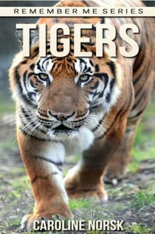 Cover of Tigers