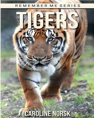 Book cover for Tigers