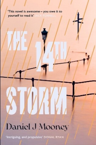 Cover of The 14th Storm