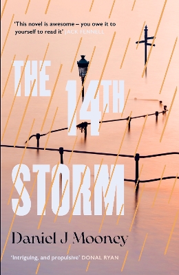 Cover of The 14th Storm