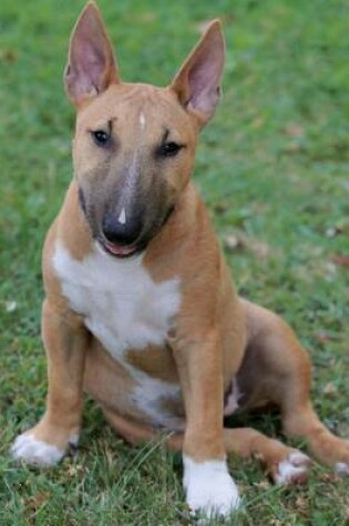 Cover of Miniature Bull Terrier