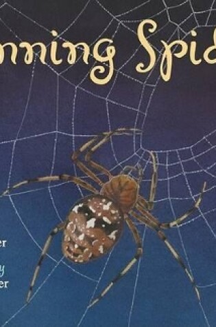 Cover of Spinning Spiders