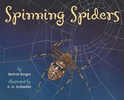 Cover of Spinning Spiders