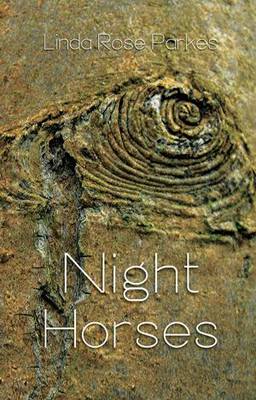 Book cover for Night Horses