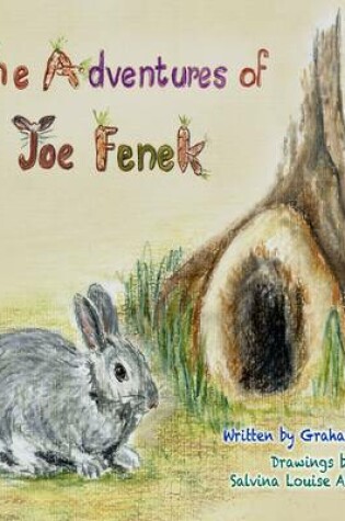 Cover of The Adventures of Joe Fenek