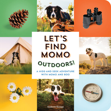 Book cover for Let's Find Momo Outdoors!