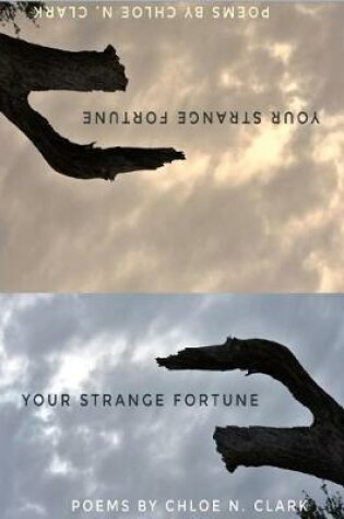 Cover of Your Strange Fortune