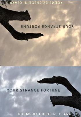 Book cover for Your Strange Fortune