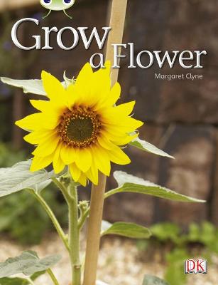 Cover of Bug Club Independent Non Fiction Reception Red C Grow a Flower