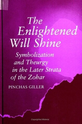 Cover of The Enlightened Will Shine