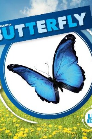 Cover of Life Cycle of a Butterfly