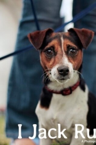 Cover of I, Jack Russell: a Photographer and a Dog's Eye View