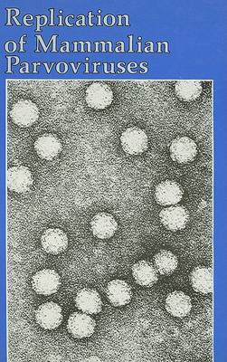 Book cover for Replication of Mammalian Parvoviruses