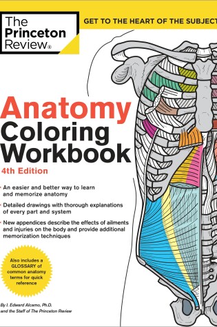 Cover of Anatomy Coloring Workbook, 4th Edition