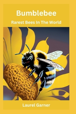 Book cover for Bumblebee