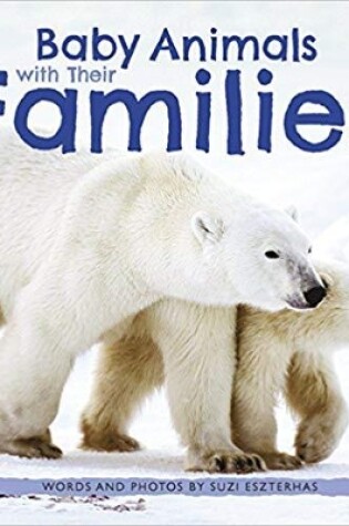 Cover of Baby Animals with Their Families