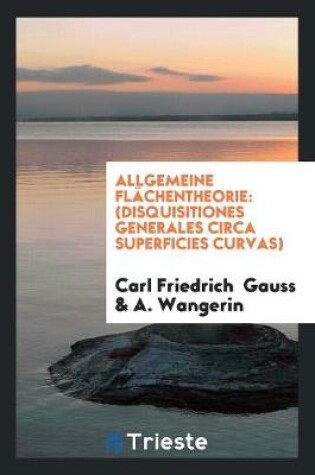 Cover of Allgemeine Flachentheorie