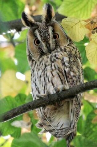 Cover of Long Eared Owl Bird Journal