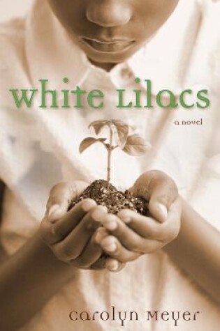 Cover of White Lilacs