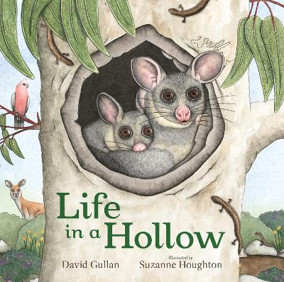 Cover of Life in a Hollow