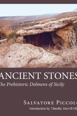 Cover of Ancient Stones