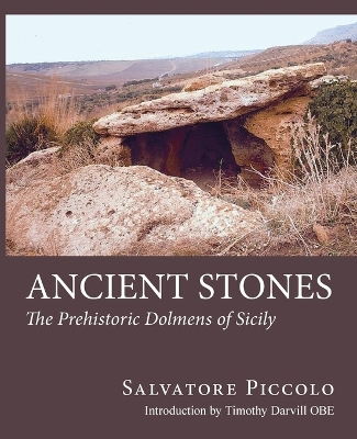 Book cover for Ancient Stones