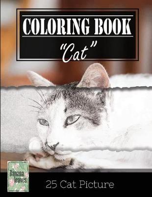 Book cover for Kittens Cat Sketch Gray Scale Photo Adult Coloring Book, Mind Relaxation Stress Relief