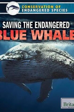 Cover of Saving the Endangered Blue Whale