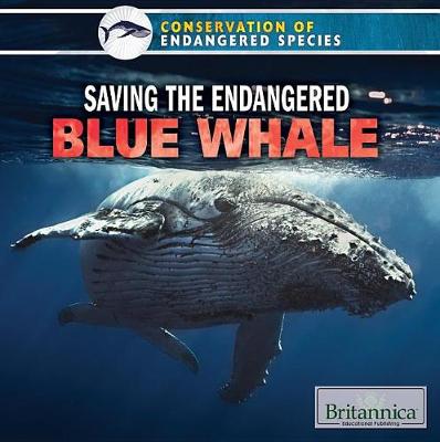 Cover of Saving the Endangered Blue Whale