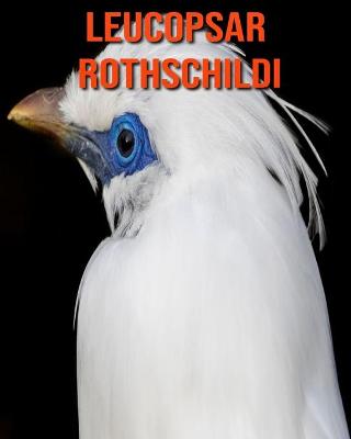 Book cover for Leucopsar rothschildi