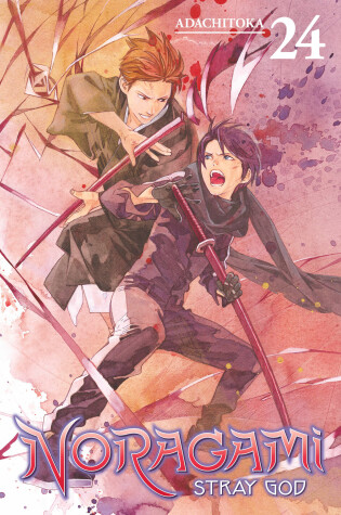 Cover of Noragami: Stray God 24